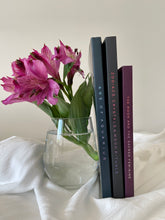 Load image into Gallery viewer, Four Book Bundle