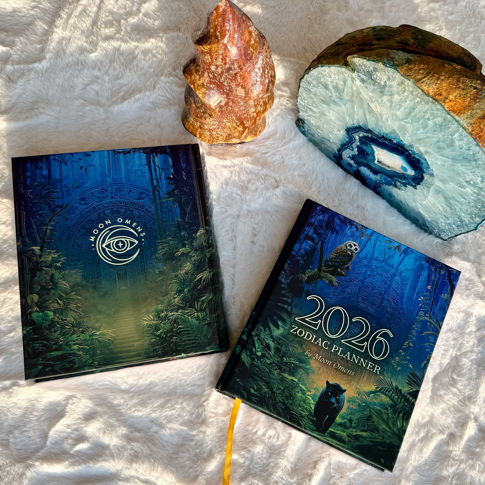 2026 Planner – Moon Omens