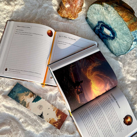 2026 White Planner & 2026 Calendar Pack