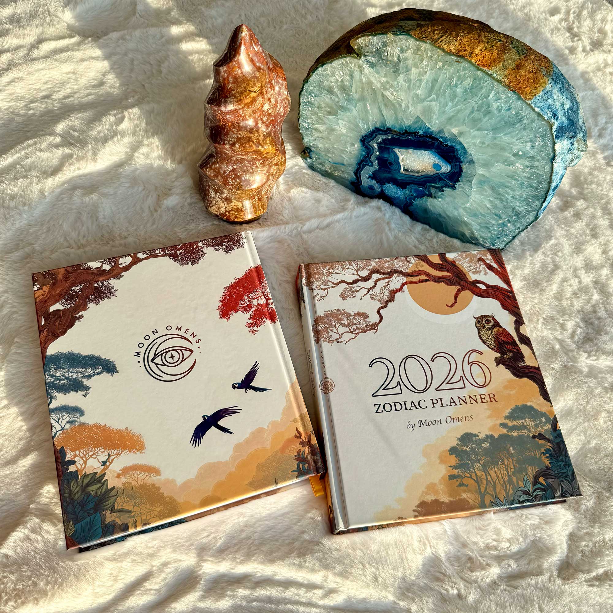 2026 Planner – Moon Omens