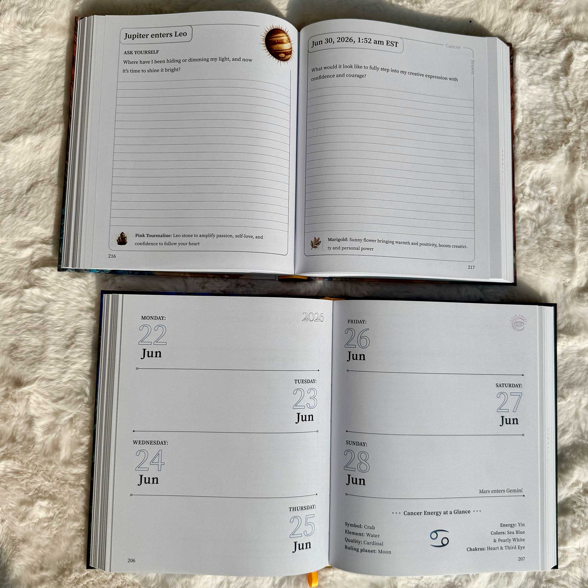 2026 Planner – Moon Omens